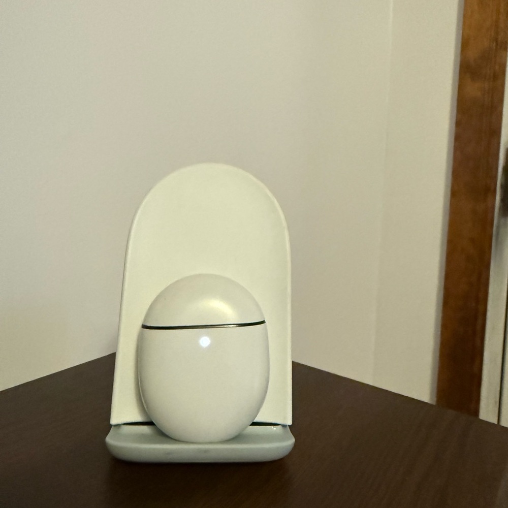 Lemongrass Google Pixel Earbuds and Charging Stand